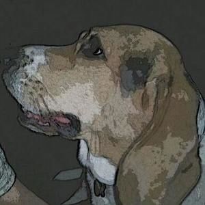 Meet your Posher, Darren